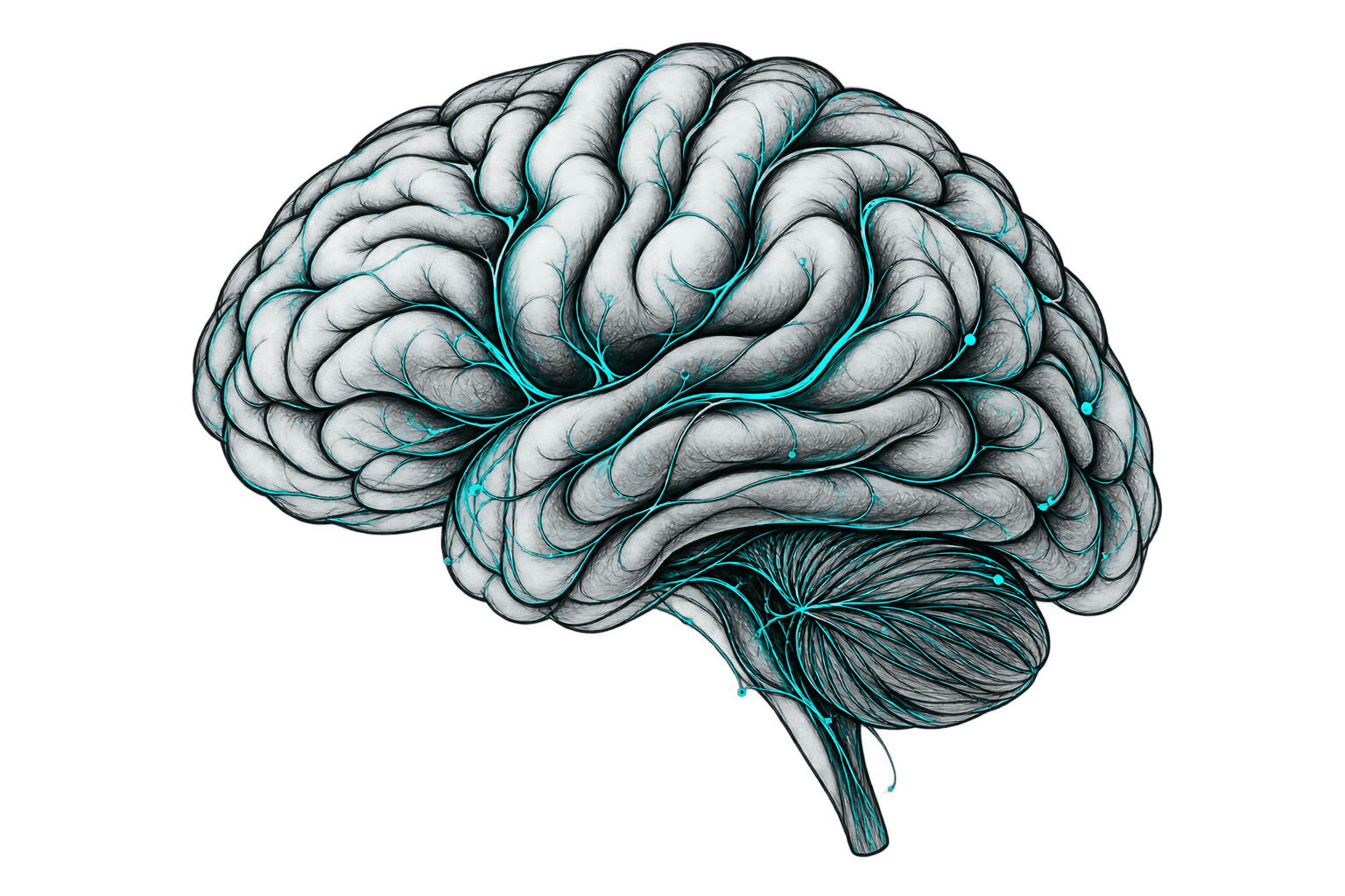 Brain Node